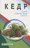 Кедр - царь сибирской тайги - 0