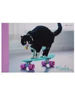 Альбом для рисования Unnika, "Пушистый скейтер", А4, 40 листов, на склейке