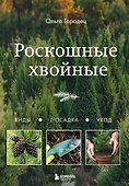 Роскошные хвойные: виды, посадка, уход - 0