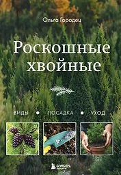 Роскошные хвойные: виды, посадка, уход