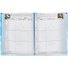 Дневник для средних и старших классов Феникс+, "Дневник российского школьника. Мирное небо" - 1