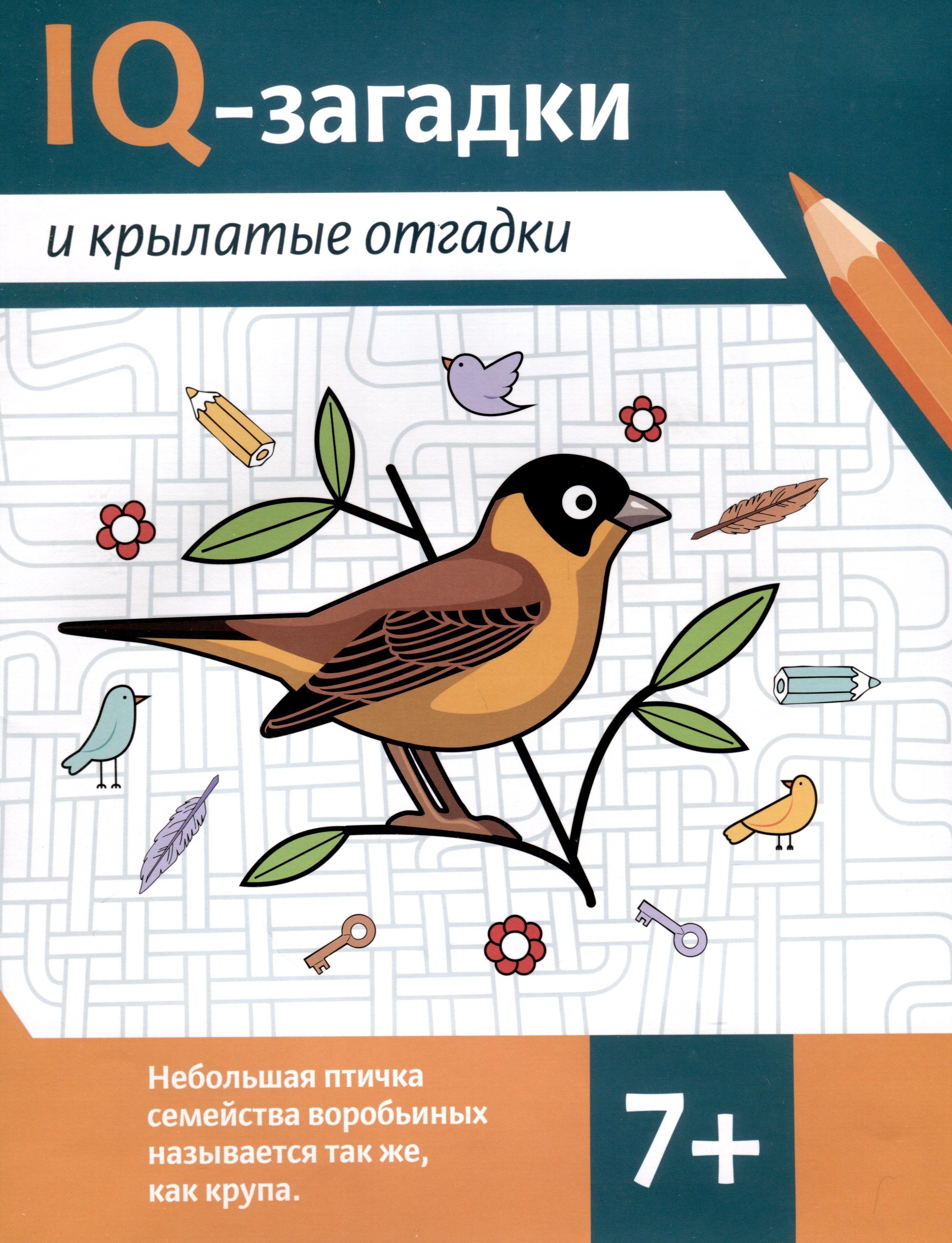 

IQ-загадки и крылатые отгадки