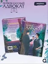 Первоклассный адвокат. Том 3. Новелла + набор эксклюзивного мерча