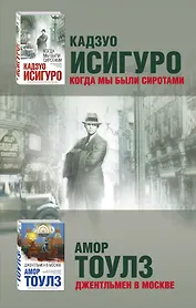 Большой роман (комплект из 2 книг)