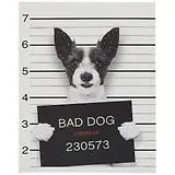 Тетрадь в клетку Listoff, "Пушистые хулиганы", 48 листов, в ассортименте