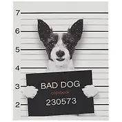 Тетрадь в клетку Listoff, "Пушистые хулиганы", 48 листов, в ассортименте