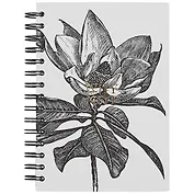 Тетрадь в клетку Be Smart, Aesthetics, 120 листов