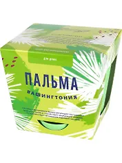 Набор д/выращивания растений Тысяча листьев, Пальма Вашингтония