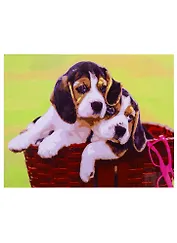 Набор для творчества Рыжий кот Холст с красками 30х40см по номерам. (20 цв.) Ласковые щенки в корзинке Х-6787