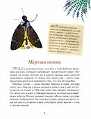 Страшный жук?Добрый жук! - 2