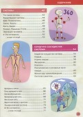 Энциклопедия человека. Как устроено наше тело - 2