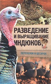 Разведение и выращивание индюков, перепелок и цесарок