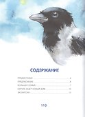 Приключения Карчика и его друзей - 1