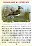 Читаем по слогам. Крупные буквы. Читалочки-познавалочки. Рассказы: слоговой тренажер - 1