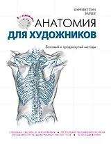 Анатомия для художников