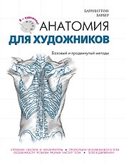 Анатомия для художников