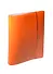 Тетрадь на кольцах в клетку Hatber, Diamond Neon, 120 листов, оранжевая - 0