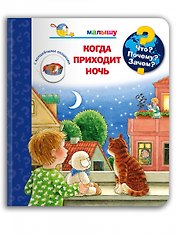 Что? Почему? Зачем?  Малышу. Когда приходит ночь (с волшебными окошками)