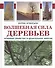 Волшебная сила деревьев.Лечебные свойства и целительная энергия - 0