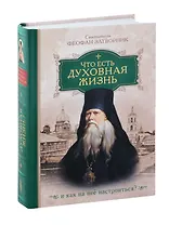 Что есть духовная жизнь и как на нее настроиться? /Собрание писем/
