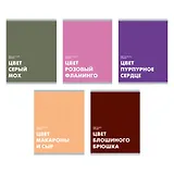 Тетрадь в клетку "Редкие цвета", 48 листов, в ассортименте