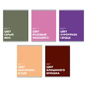 Тетрадь в клетку "Редкие цвета", 48 листов, в ассортименте