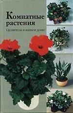 Комнатения растения целители