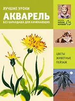 Лучшие уроки. Акварель без карандаша для начинающих