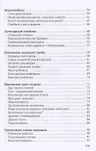 И у крокодила есть друзья - 2