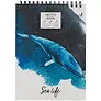 Скетчбук А4 60л "SKETCHBOOK. Синий кит" белый офсет, 100г/м2, тв.обложка, евроспираль