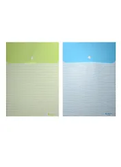 Папка-конверт А4 на кнопке вертикальная, ассорти, Sworld