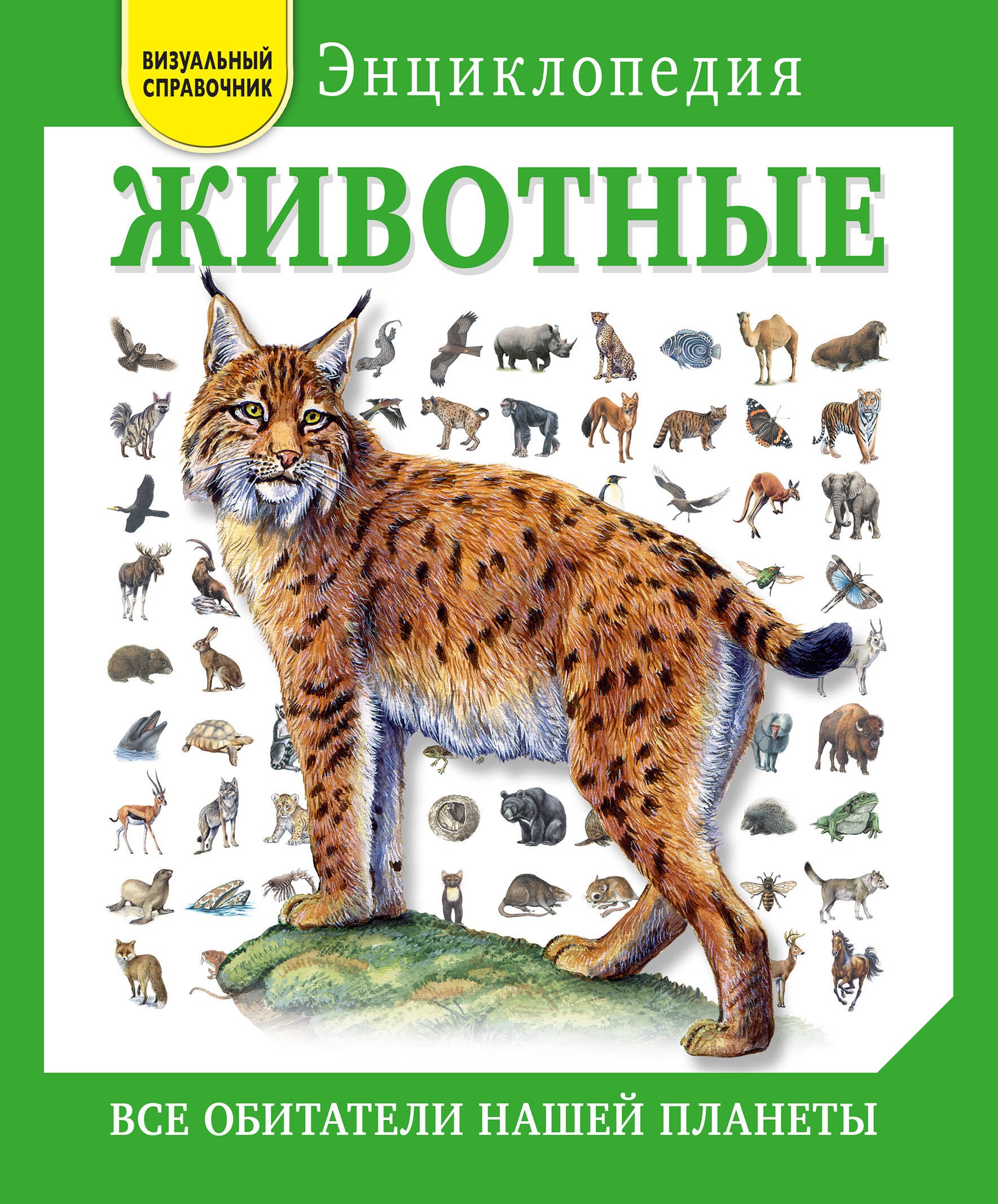 

Животные. Все обитатели нашей планеты