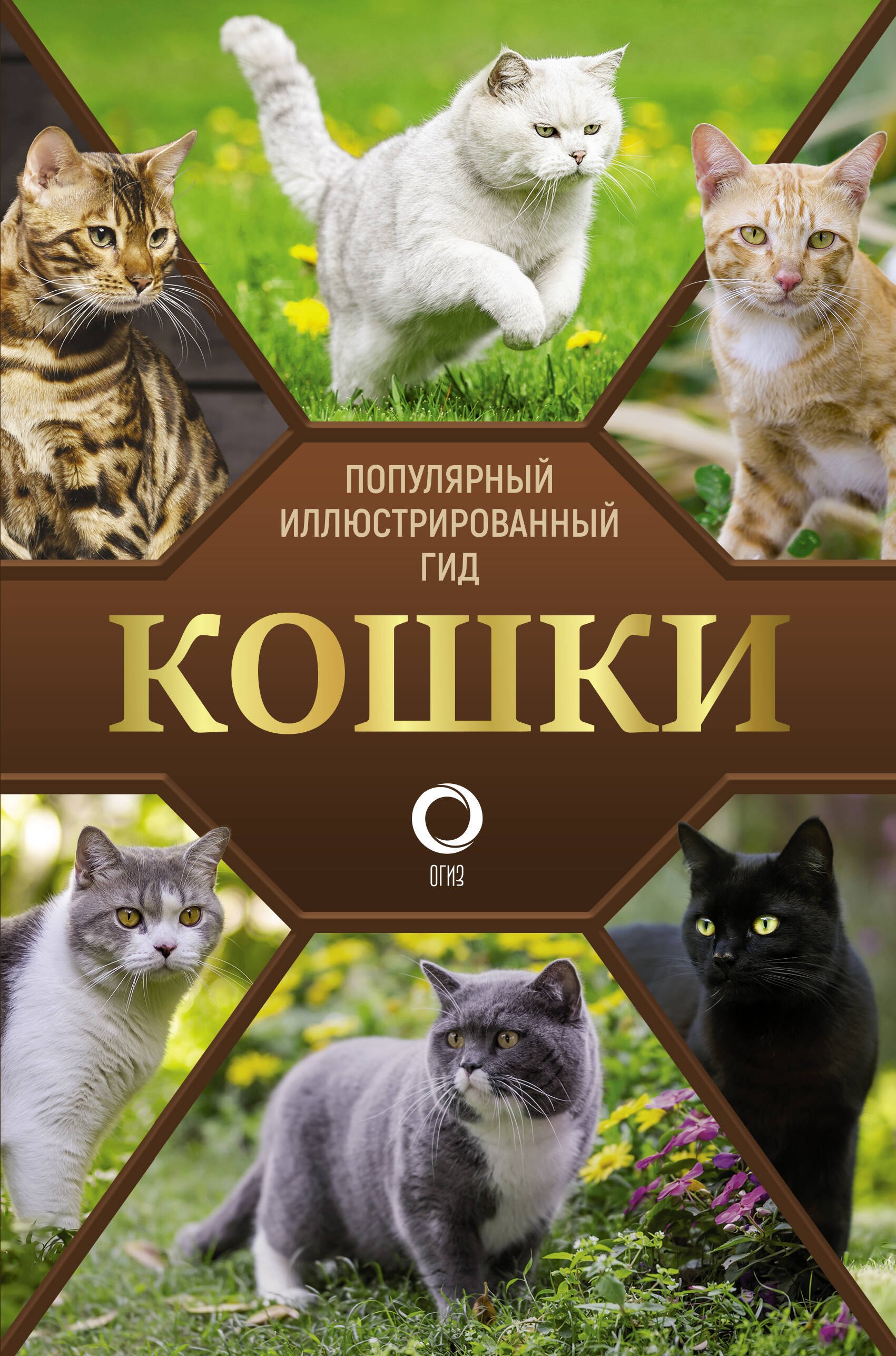 

Кошки