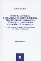 Правовые пробелы в механизме конституционного обеспечения прав и свобод человека и гражданина в РФ (в свете практики Конституционного Суда Российской Федерации). Монография