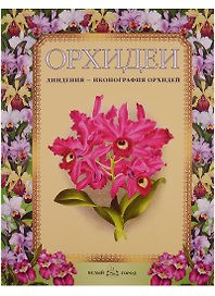 Орхидеи. Линдения - иконография орхидей