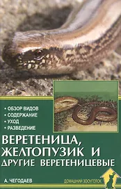 Веретеница, желтопузик и другие веретеницевые.