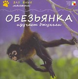 Обезьянка изучает джунгли / (мягк) (Забавные малыши). Бурмистрова Л. (Мозаика)