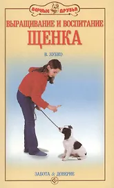 Выращивание и воспитание щенка