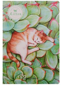 Тетрадь общая «Sleeping cat», 44 листа в клетку, А5, в ассортименте - Languo