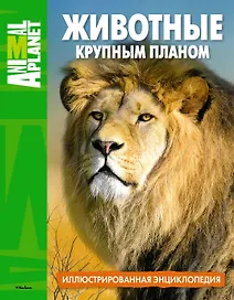 Животные крупным планом. Иллюстрированная энциклопедия