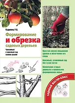 Формирование и обрезка садовых деревьев