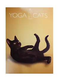 Тетрадь общая «Yoga Dogs», 48 листов в клетку, А4, в ассортименте - Academy Style