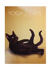 Тетрадь в клетку Academy Style, Yoga Dogs, А4, 48 листов, в ассортименте