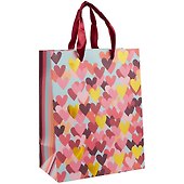 Пакет А5 23*18*10 "Color Hearts" жен., бум.мат.ламинат - 0
