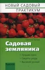 Садовая земляника
