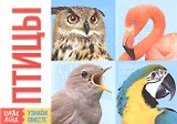 Обучающая книга «Птицы»