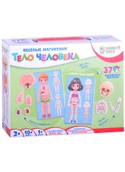 Настольная игра «Весёлые магнитики. Тело человека» 37 магнитов, Bright kids