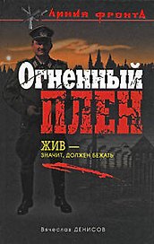Огненный плен: роман