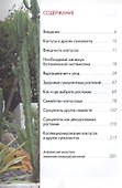 Кактусы и другие суккуленты. - 1