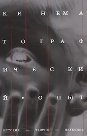 Кинематографический опыт: История, теория, практика